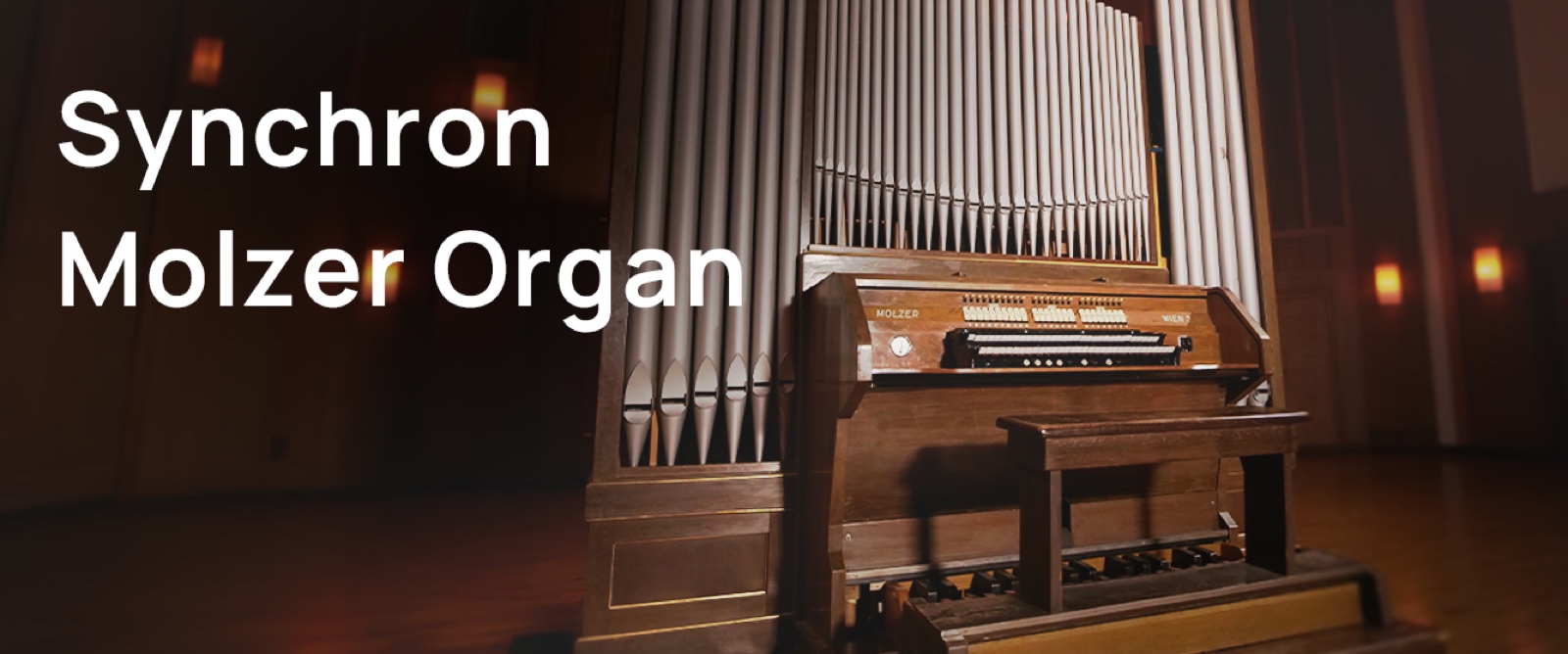 Synchron Molzer Organ by Vienna Symphonic Library